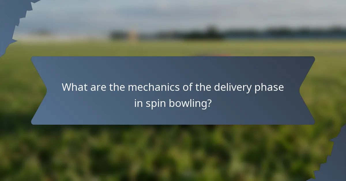 What are the mechanics of the delivery phase in spin bowling?